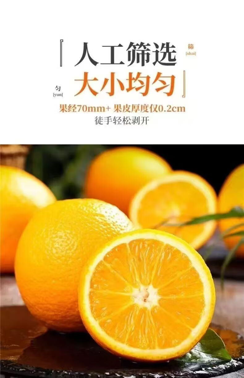 八卦洲芦蒿：舌尖上的金陵美味