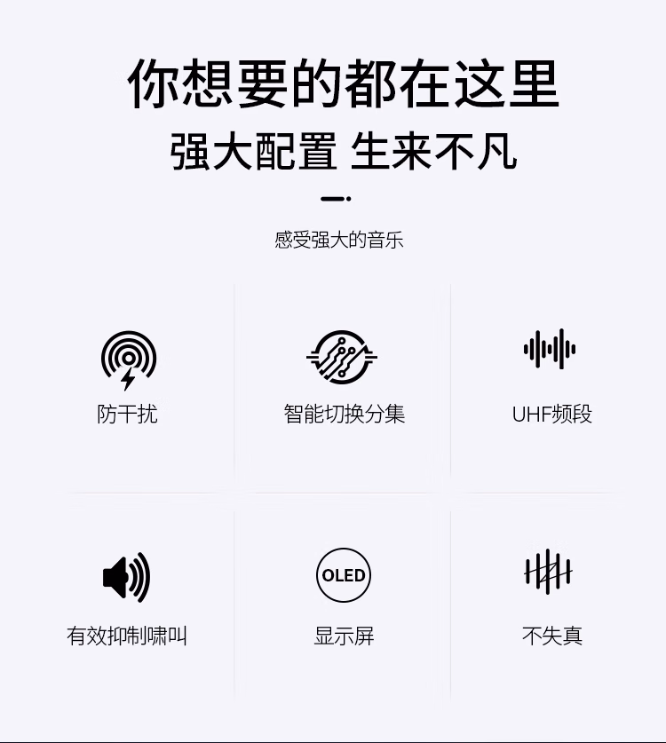 EWDP KK205 专业手持无线麦克风会议舞台演出直播K歌无线话筒套装