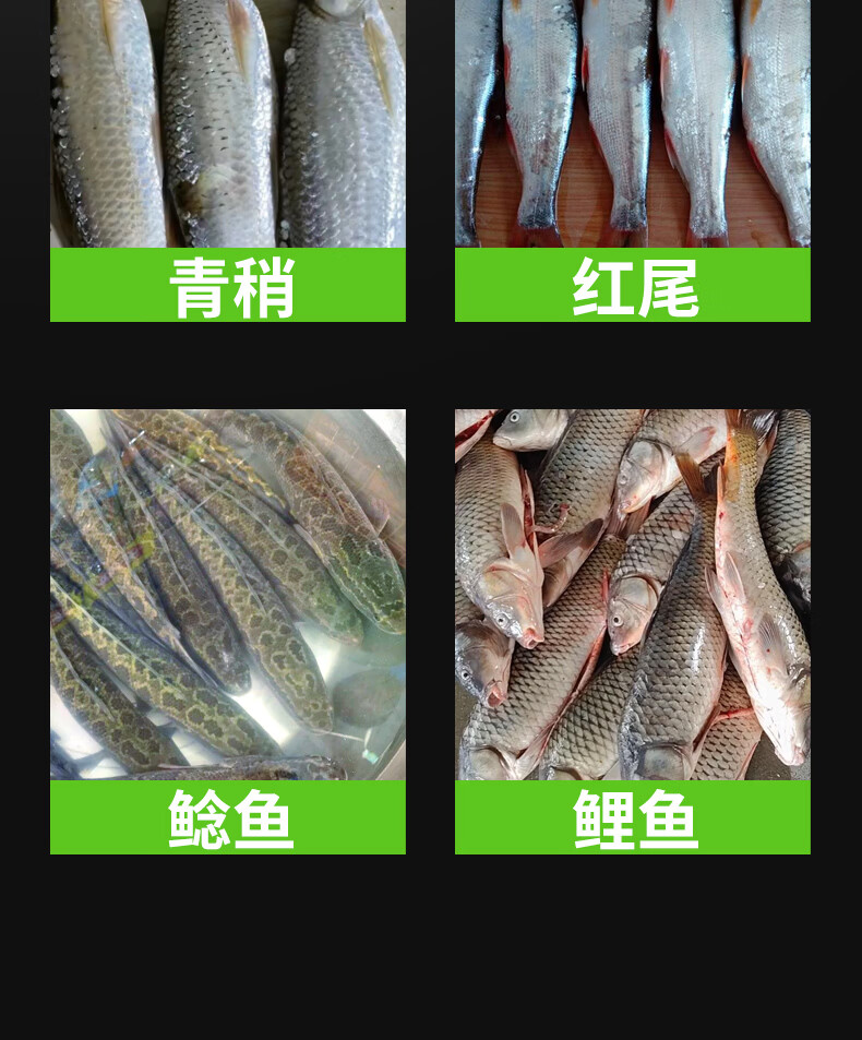 3bc6784979f457e4.jpg