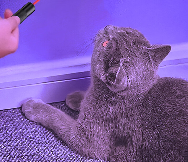 Tuteng UV Light Identification Ultraviolet Flashlight Fluorescent Pen Wood's Lamp Cat Scratch Detection Light with Infrared Laser 008-2 11