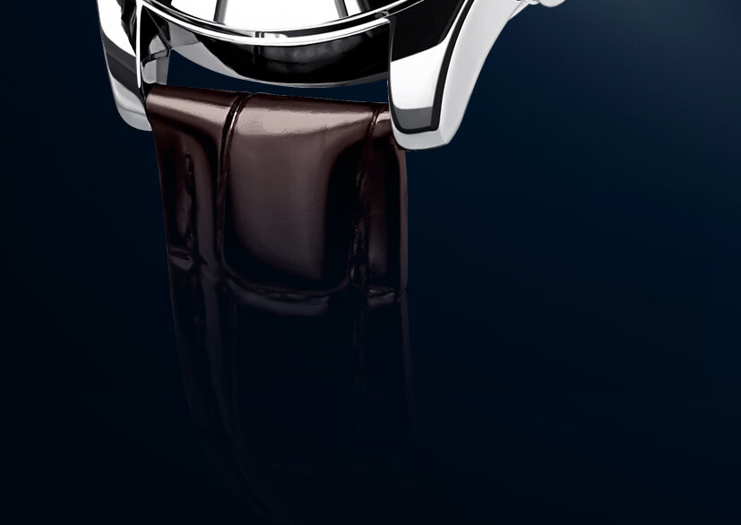 OLEVS Swiss Certified Men's Fully Automatic Mechanical Watch, Men's Luxury Timepiece, 2026 New Skeleton Design Men's Watch, Top Ten Brand 12