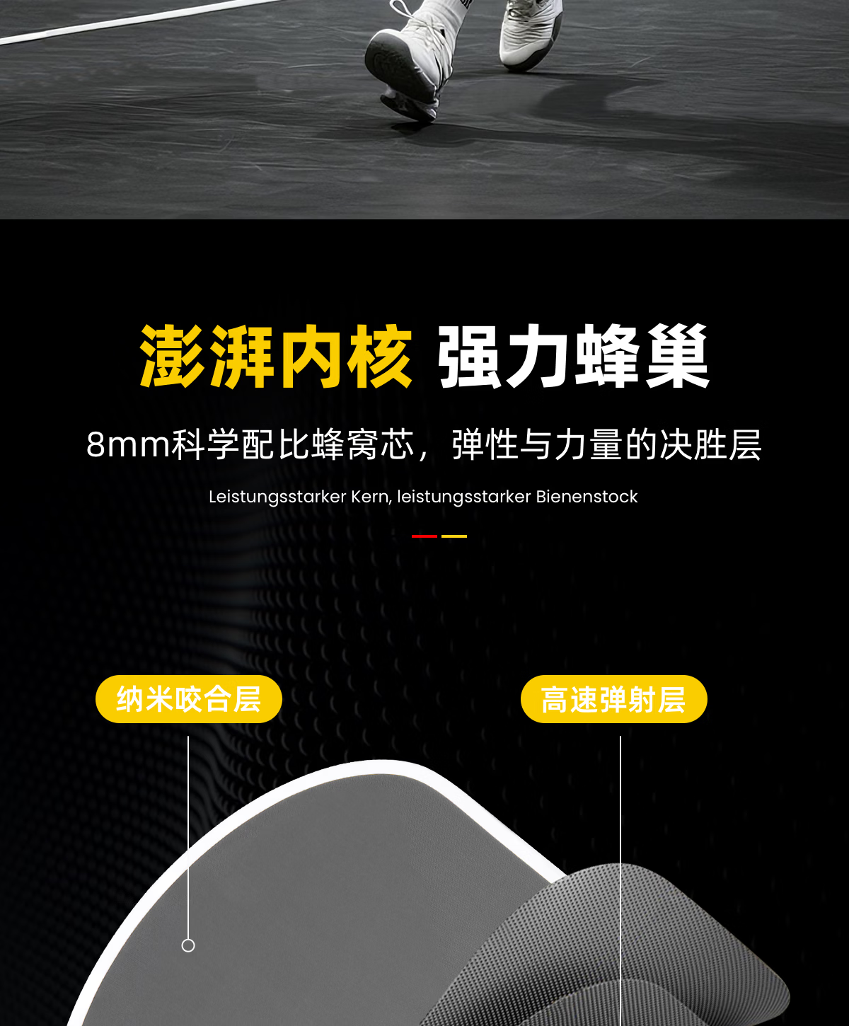 HiJump (Germany) Pickleball Paddle T700 High-End Carbon Fiber Offensive and Defensive Matte Professional Tournament Single Paddle Set 12