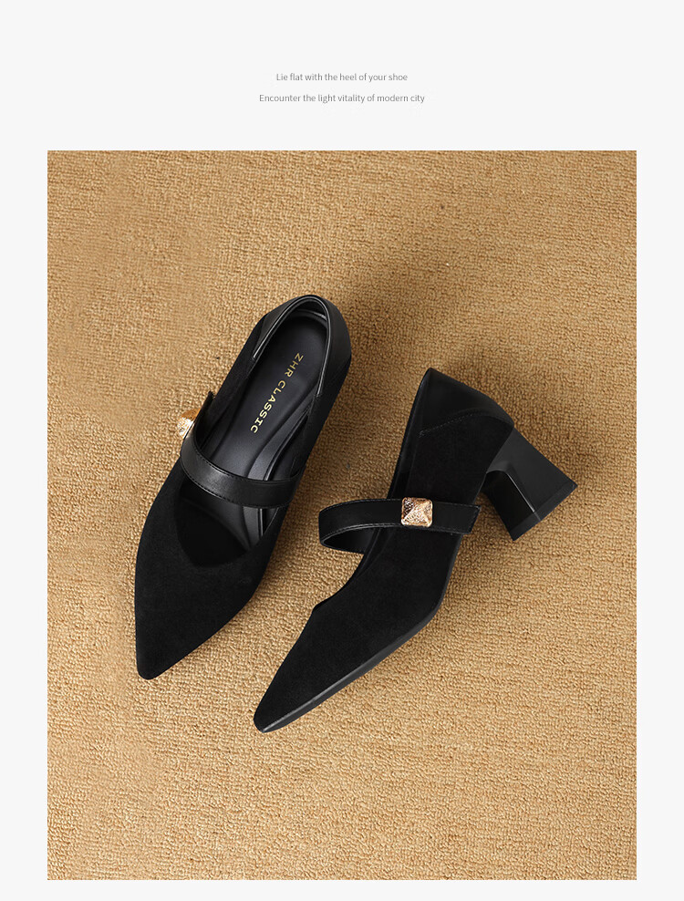 ZHR Pointed Toe Mary Jane Shoes for Women 2026 Spring New Thick Heel Suede Retro Versatile High Heels BL701 Black Size 34 13