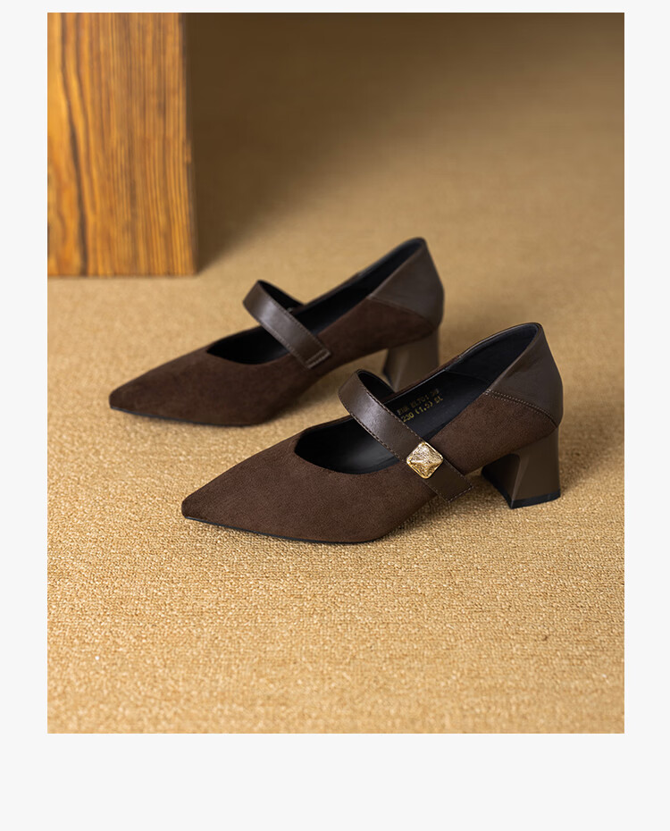 ZHR Pointed Toe Mary Jane Shoes for Women 2026 Spring New Thick Heel Suede Retro Versatile High Heels BL701 Black Size 34 17
