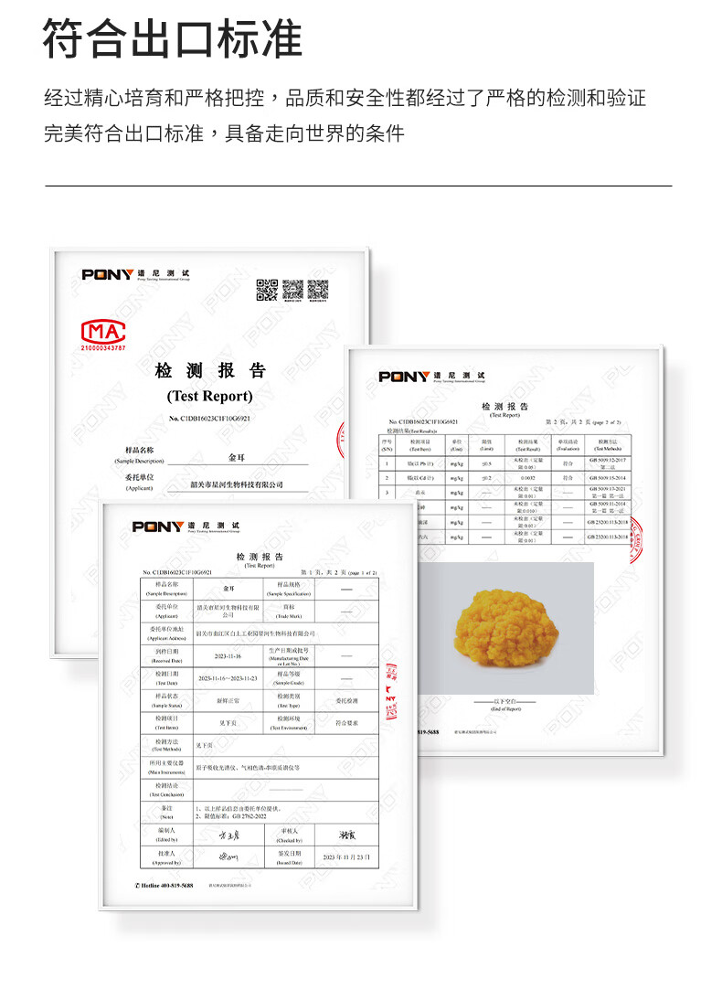 爱上蘑力精选金耳新鲜现采现发营养黄耳食用菌糖水刺身火锅食材蔬菜金耳菌刺身糖水食用菌火锅食材 精品金耳菌 500g详情图片9