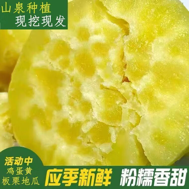 3，【廠家直供】現挖現發潮汕辳家板慄紅薯粉糯甜香板慄薯白皮黃心雞 5斤-小果