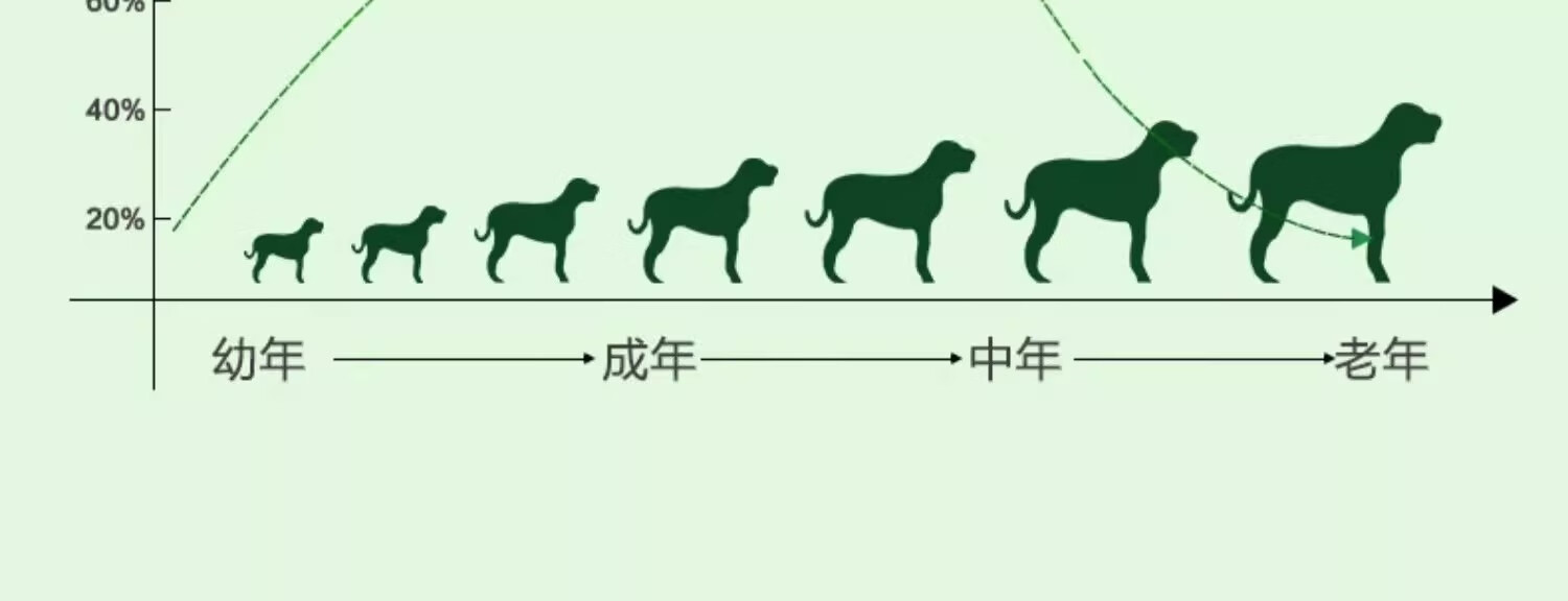 9，比熊專用鯊魚軟骨素保護狗狗關節小型犬寵物鈣片軟骨髕骨關節康關節寶 【買1送1，實發2瓶】比熊專用鯊魚軟骨素