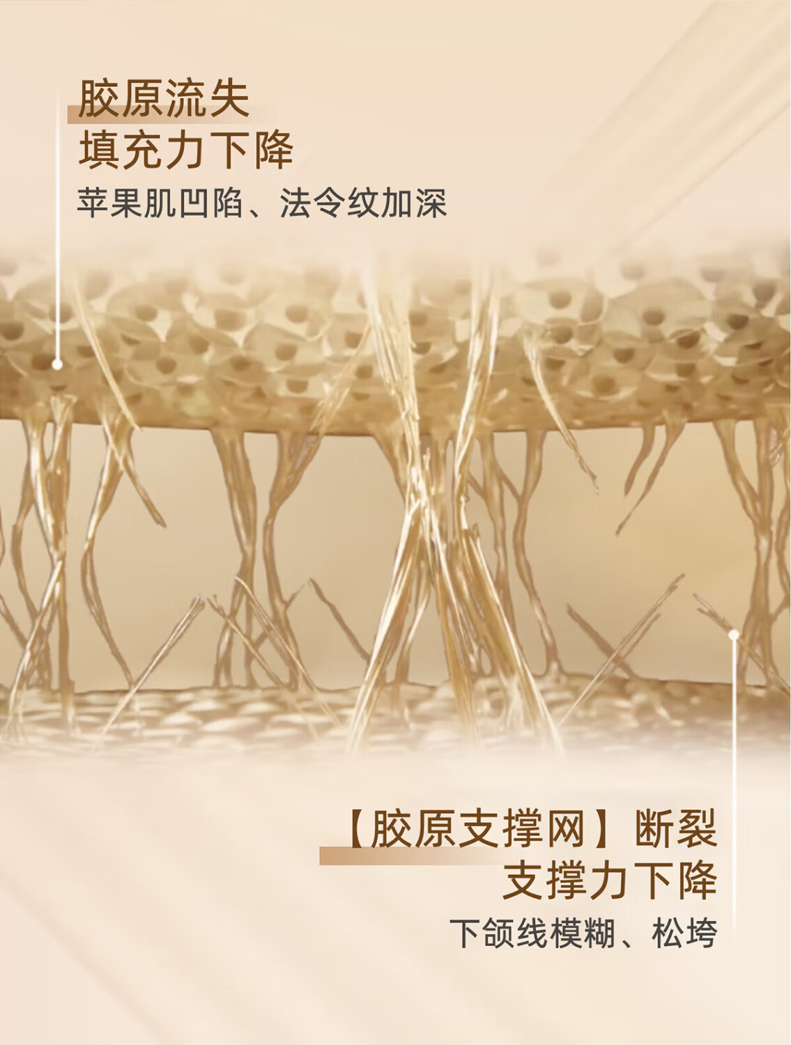 华康森紧致抗皱秋冬面霜50g提亮拉紧致补水保湿护肤礼盒礼物送妈妈 限定礼盒 淡纹紧致面霜50g