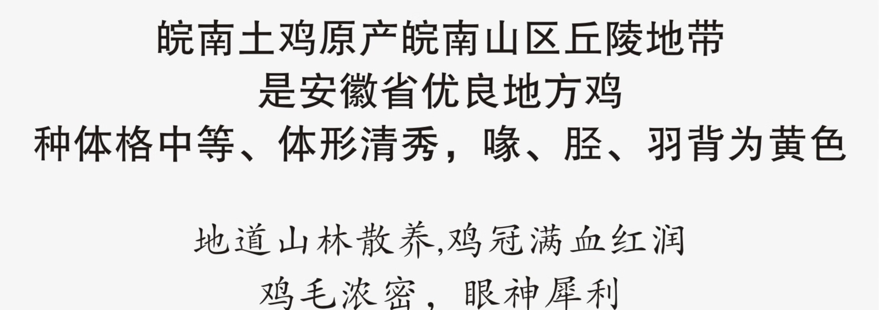 皖南九华山正宗山区老母鸡五谷散养新鲜一只速达顺丰2.2斤净重土鸡走地鸡整鸡 顺丰速达 一只装（净重约2.2斤）详情图片10