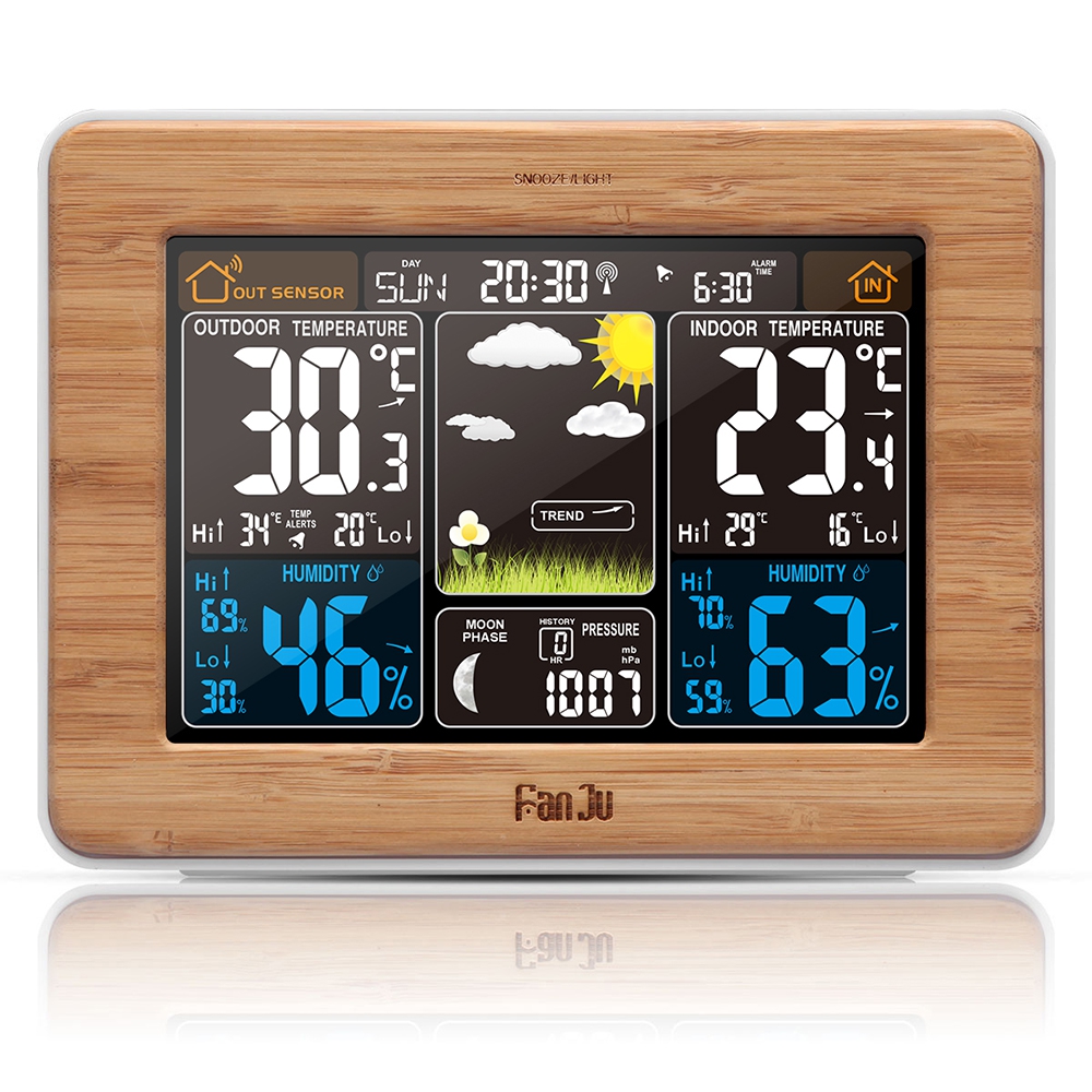 

GBTIGER рыжеватый, Weather Station Color