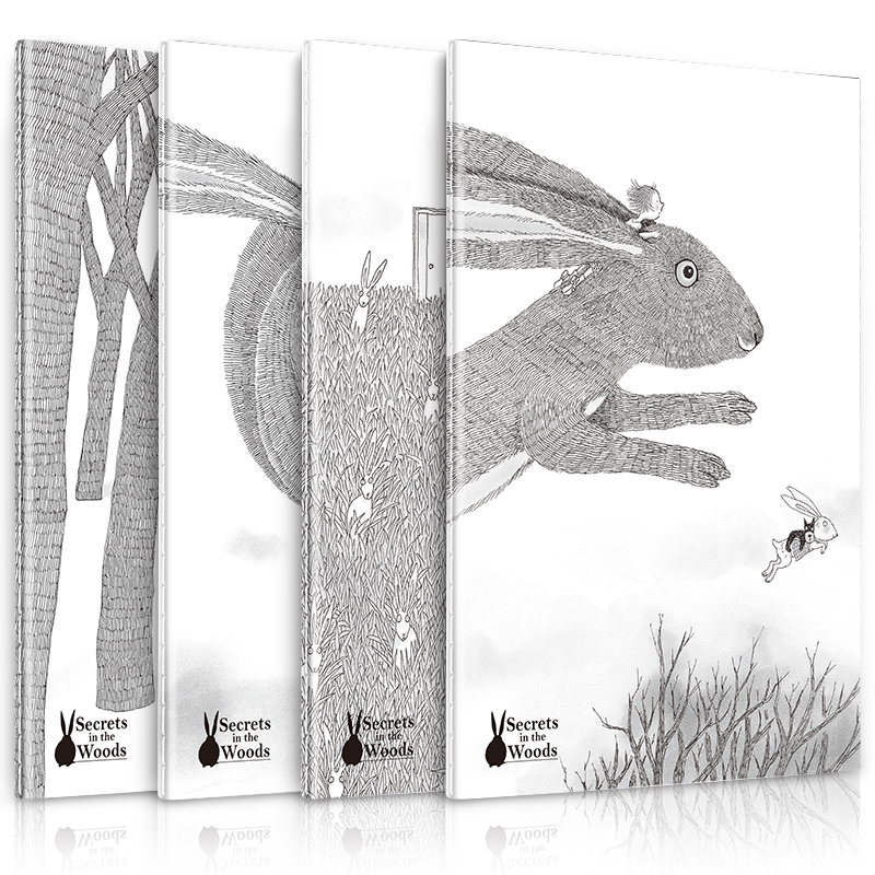 

JD Коллекция 12 книг - секрет в лесу дефолт, Joycollection