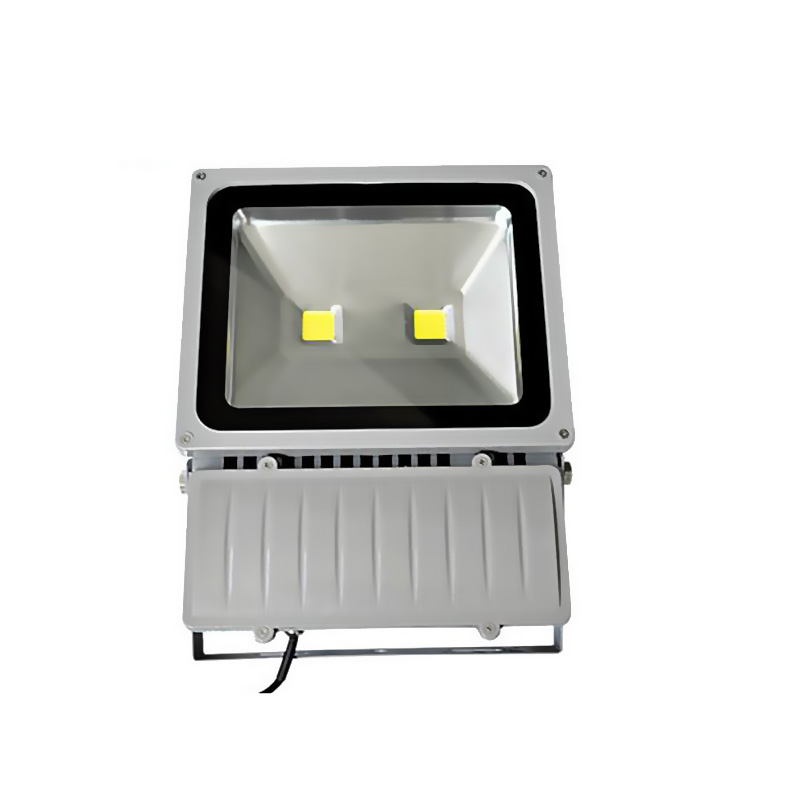 

hntoolight Серебряная раковина 100 Вт теплый белый, LED FLOOD LIGHT