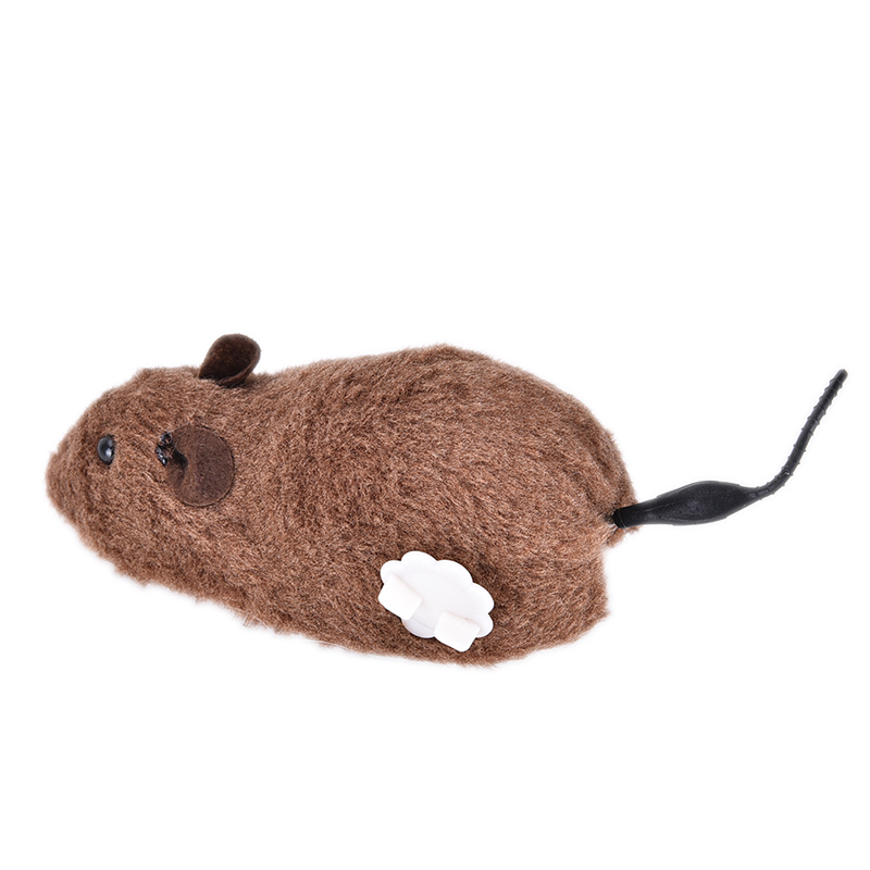 

HFSHy Brown, Крыса для мыши