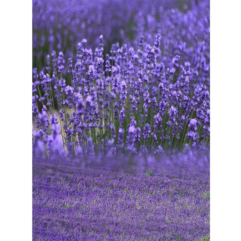

JOYOCHFOTO красный 5 7ft, фон для фотографии