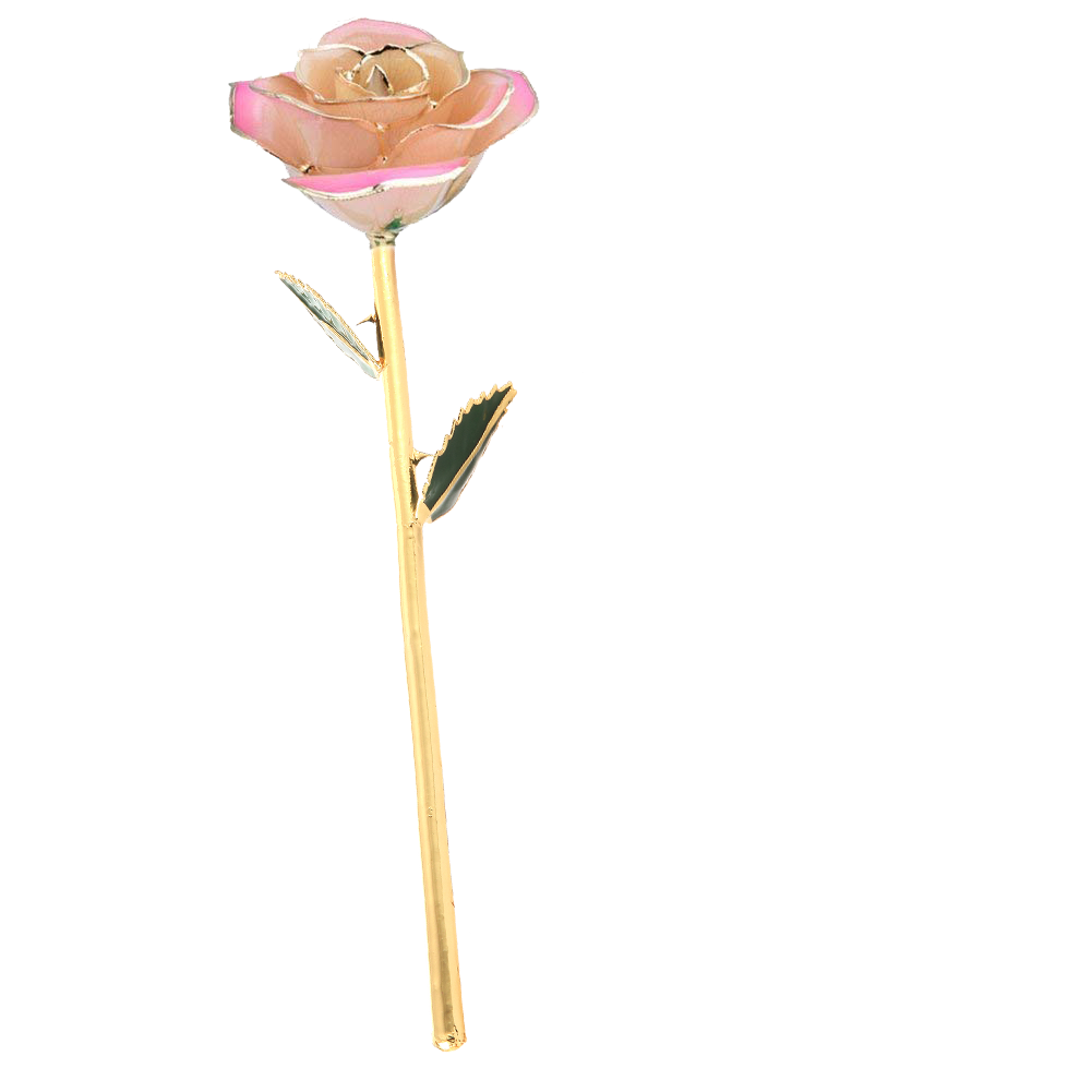 

Daya Rose Многоцветный, 24k Full Gold Dipped Rose