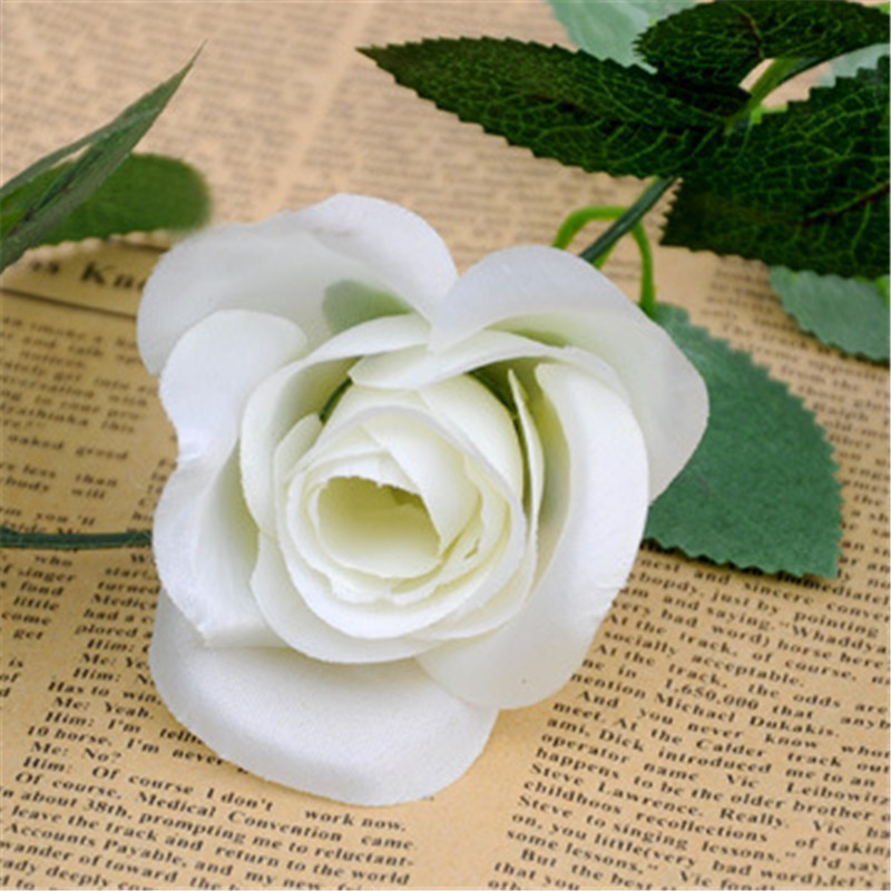 

chkj White, розы