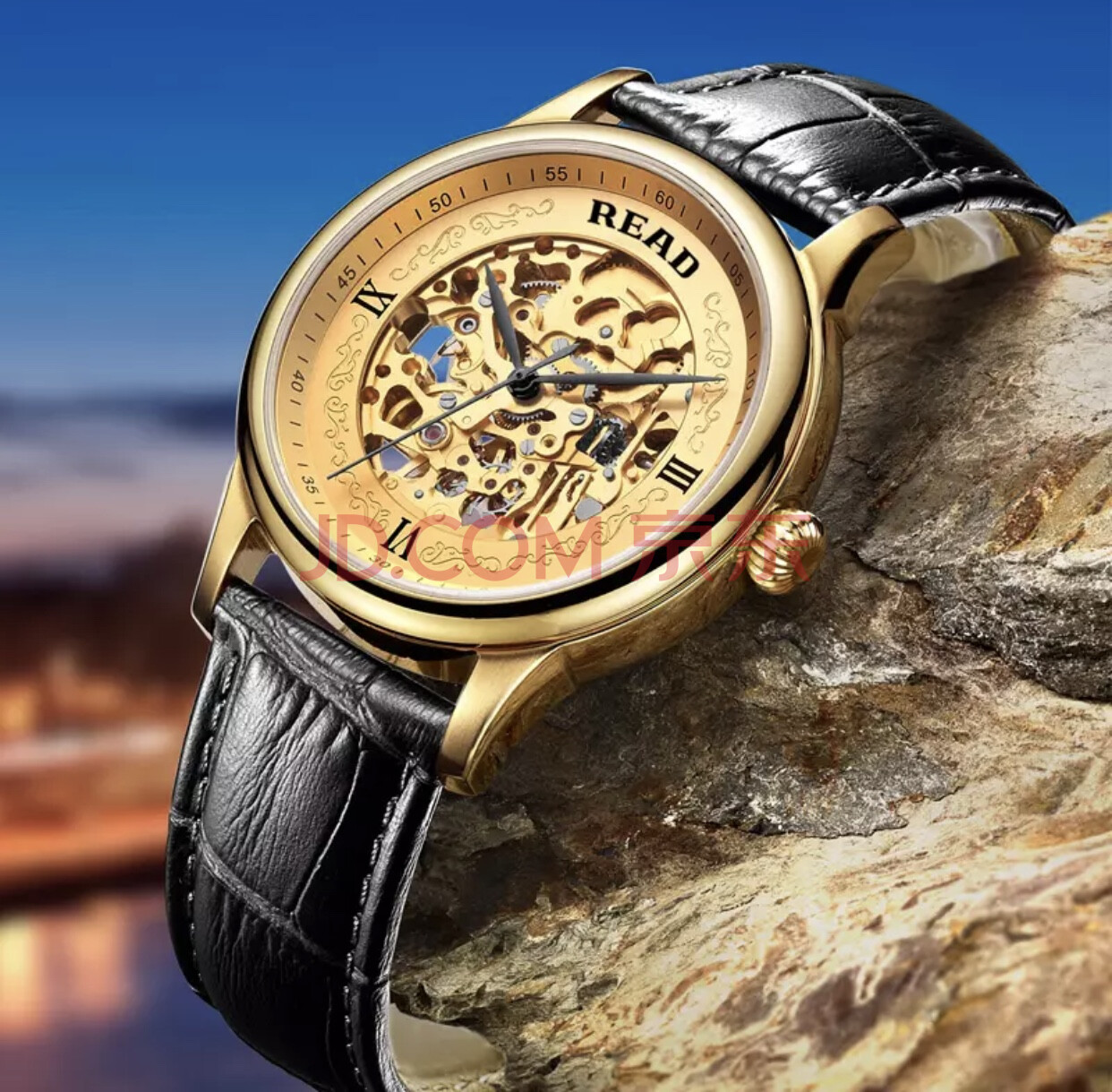 锐力read男士双面镂空防划表镜真皮进口机芯自动机械男表r8002g一块