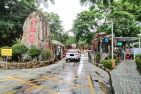 杨梅坑为什么叫杨梅坑_杨梅坑攻略_杨梅坑旅游攻略