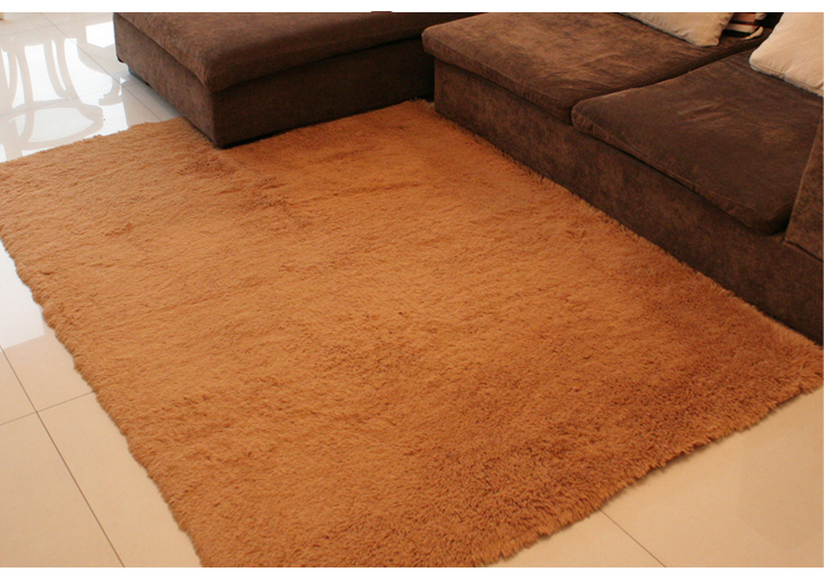 瑞恩超柔加厚金丝绒/丝毛地毯地垫 防滑可水洗 客厅/卧室/飘窗/床边