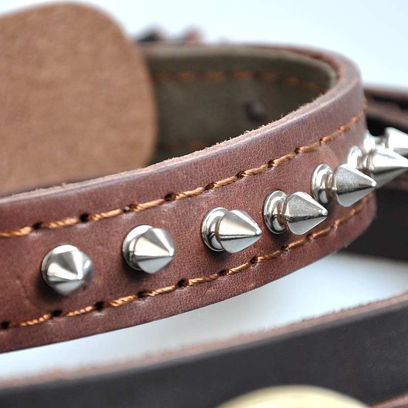 Chukchi (CHUKCHI) cowhide pet collar dog neck collar with acupuncture anti-bite for medium and large dogs 032B German Shepherd Pit Bull calfskin M neck circumference 36cm-46cm