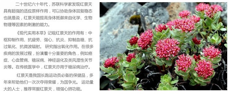 【主要原料】 红景天,沙棘,西洋参,枸杞子,葛根,刺五加.