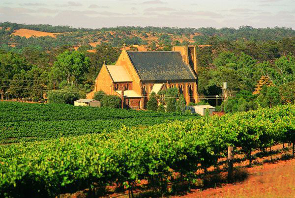 在南澳的barossa valley(巴罗莎谷)和adelaide hills(阿德莱得山区)