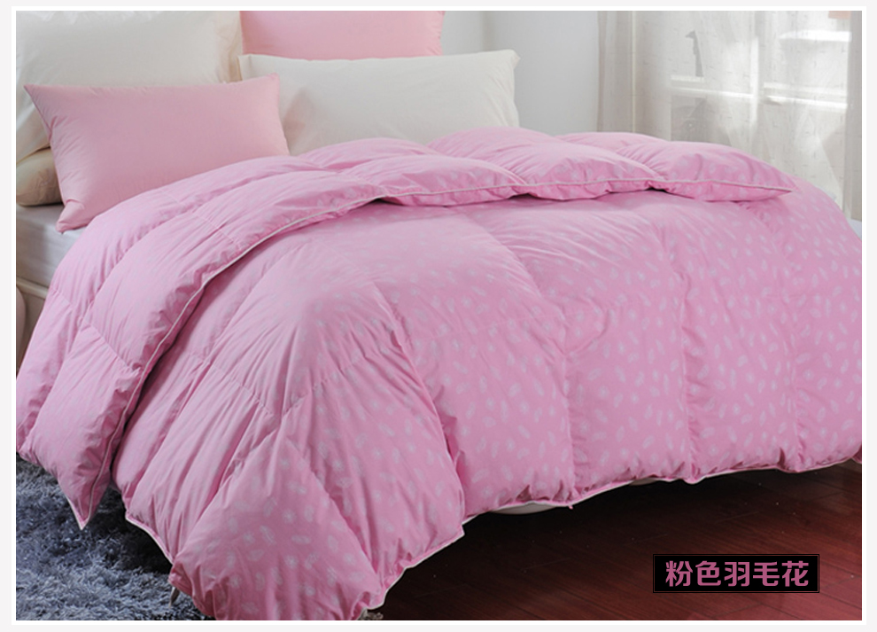 床上用品 被子/空调被 京东商城 > 商品详情  > 百思寒70灰鸭绒冬被
