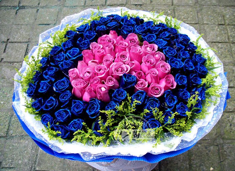 红玫瑰和蓝玫瑰搭配图片