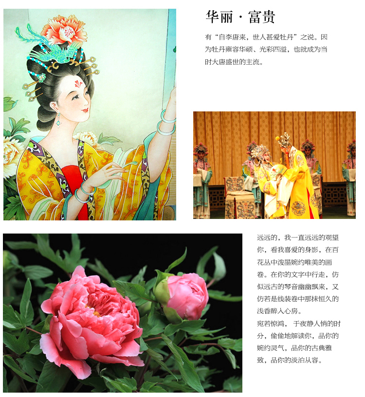 
                                        世轩 十字绣精准印花3D牡丹花开富贵春大画 十字绣客厅挂画大 11CT印花棉线196*64                