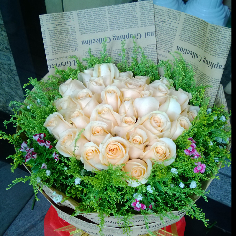 33朵香槟玫瑰 满天星配花外围 精美圆形包装