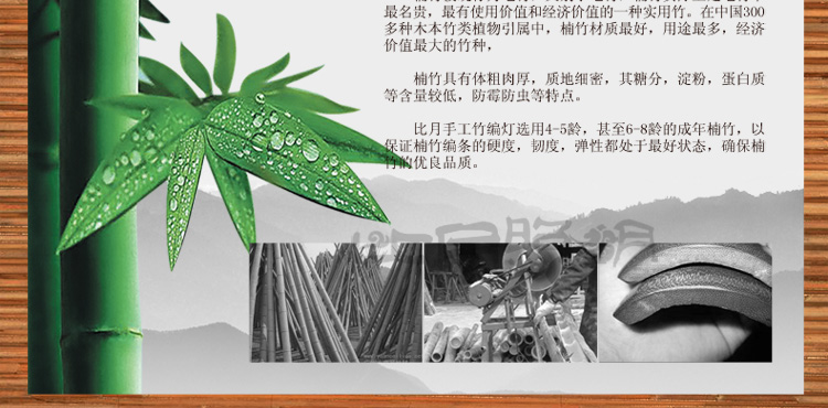 比月吊灯客厅餐厅茶楼灯具现代简约创意东南亚书房过道竹吊灯3230 小号