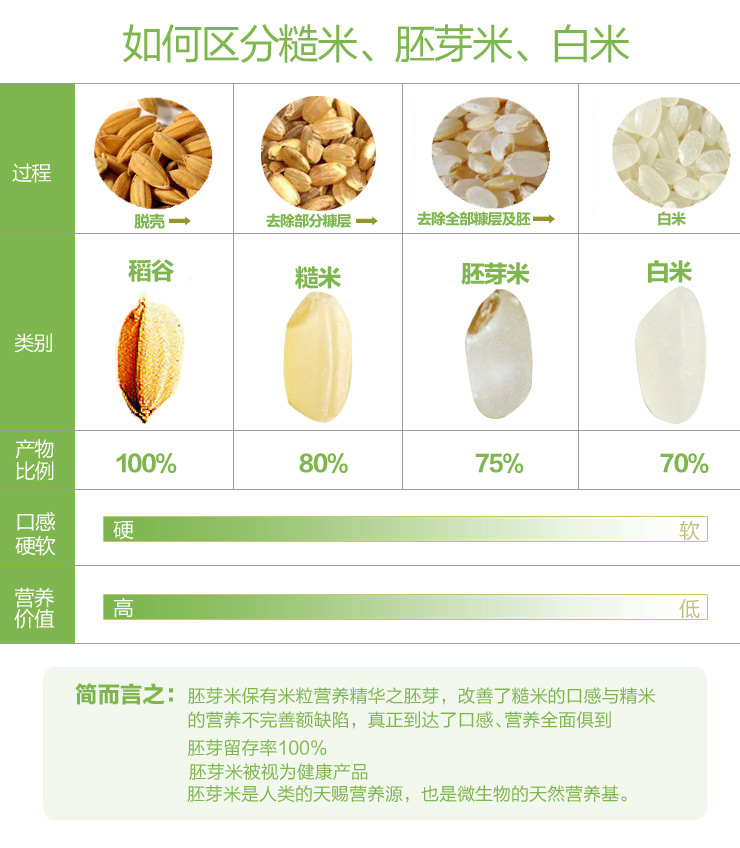 怀玉18玉米种子简介图片