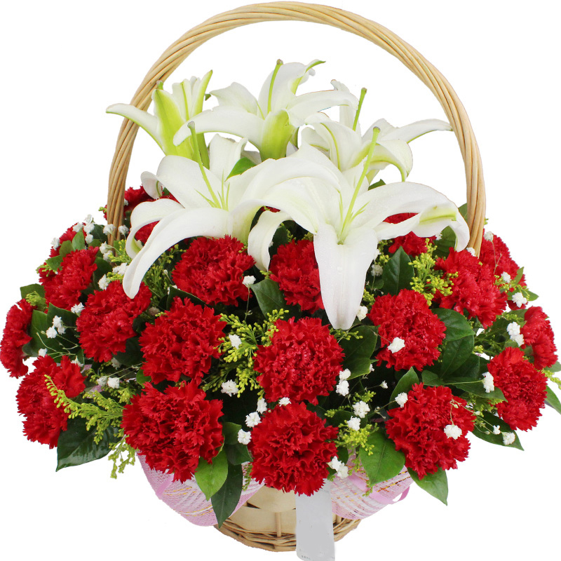 花材:  手提花篮:30朵红色康乃馨 6朵白色香水百合,绿材搭配