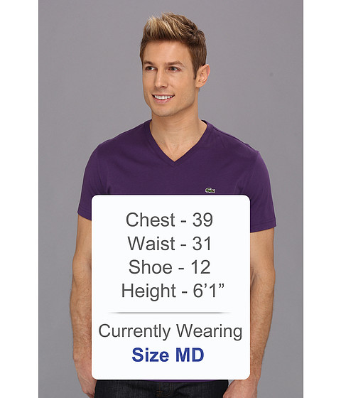 隆恩美国代购正品鳄鱼lacoste男士solid vneck tee 欧美时尚t恤