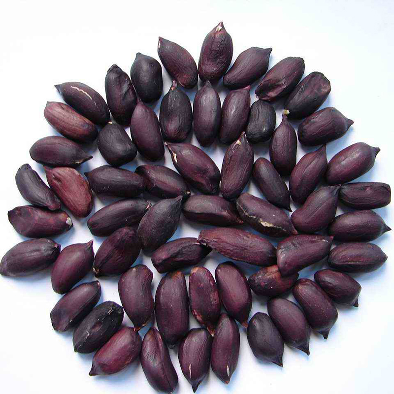 佳品堂 黑八宝杂粮礼盒2375g 木耳 香菇 黑花生 黑豆 黑芝麻 黑荞麦