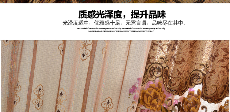 铭聚布艺 欧式奢华私人定制水溶绣花卧室客厅书房半遮光成品窗帘 凡尔赛 纱1.6*2.65不改高 挂钩