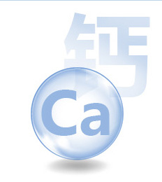 4参与肌肉收缩过程钙离子在骨骼肌肉收缩过程中起着触发,调处的调控的