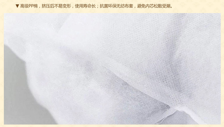 
                                        康丝丽 欧式沙发大床抱枕靠垫套腰靠枕芯 办公车用 杏米色 长方枕                