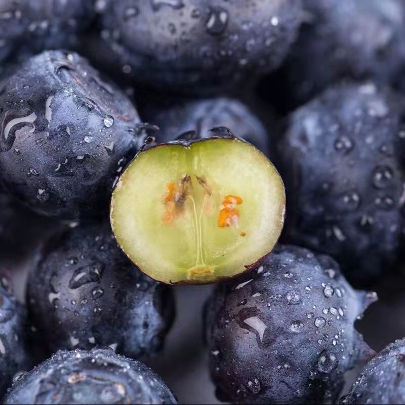 顺丰jd空运送礼佳品蓝莓云南怡颗莓蓝莓鲜果孕妇当季新鲜水果蓝莓王4