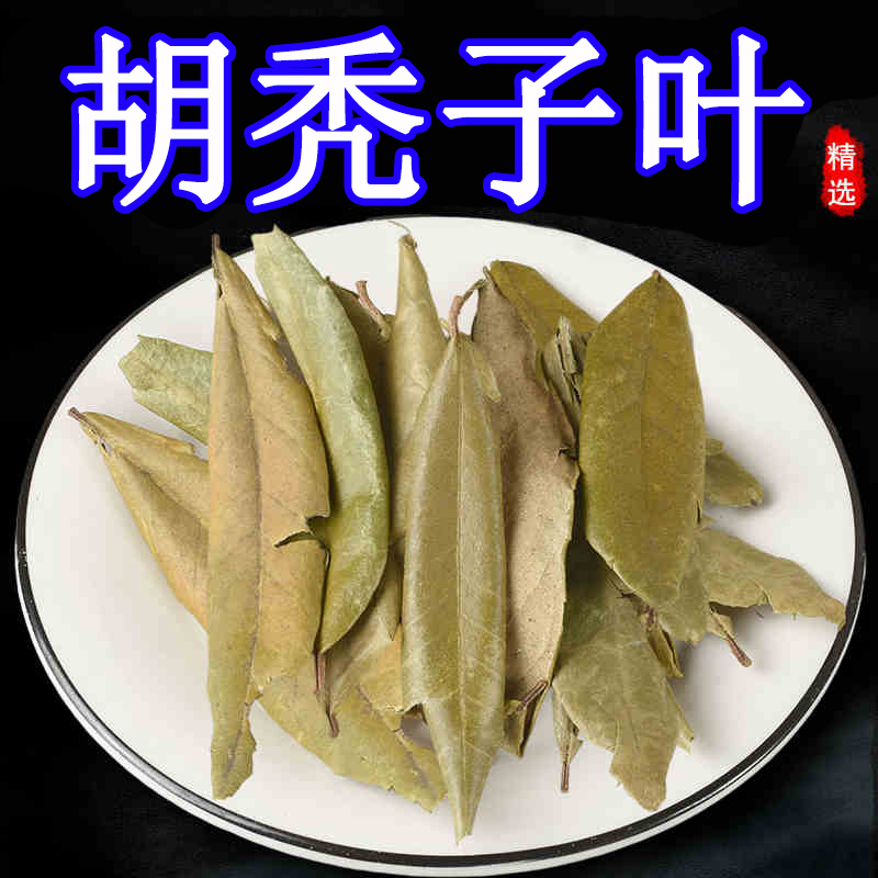 胡颓子叶禁忌图片