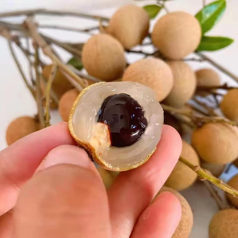 5斤 草埔龙眼5斤装【图片 价格 品牌 报价】-京东