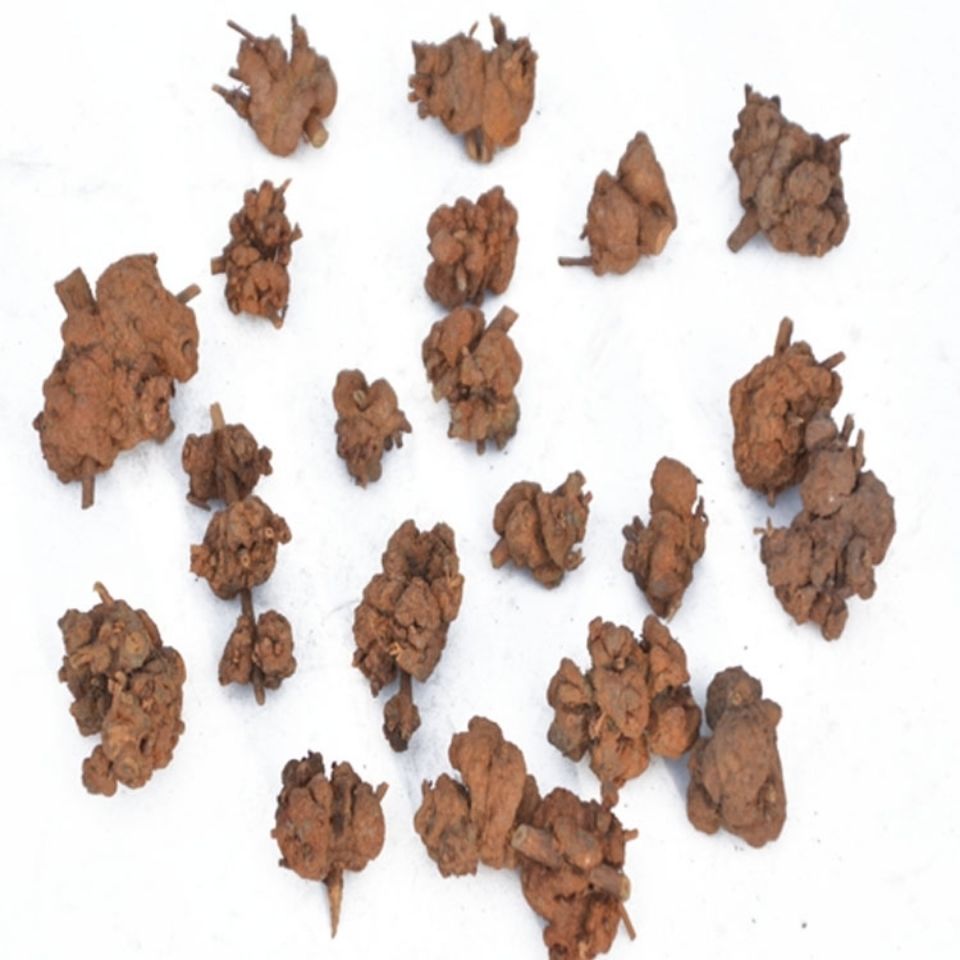 有仁堂 野牲贯叶金丝桃花贵州省中草药圣约翰草根茎大过路黄大对叶草