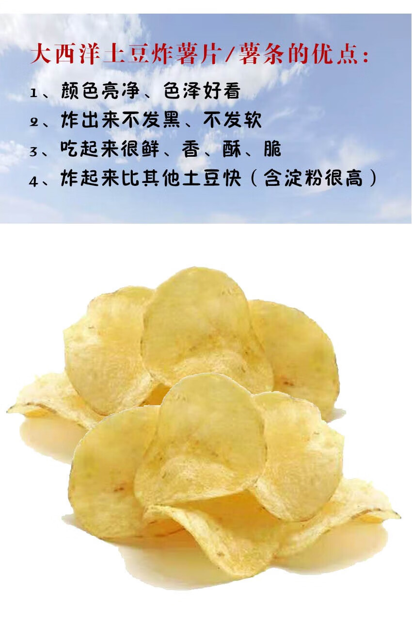 大西洋沙面土豆老品种蔬菜沙漠农产品白心马铃薯甘肃土豆 4600g【图片