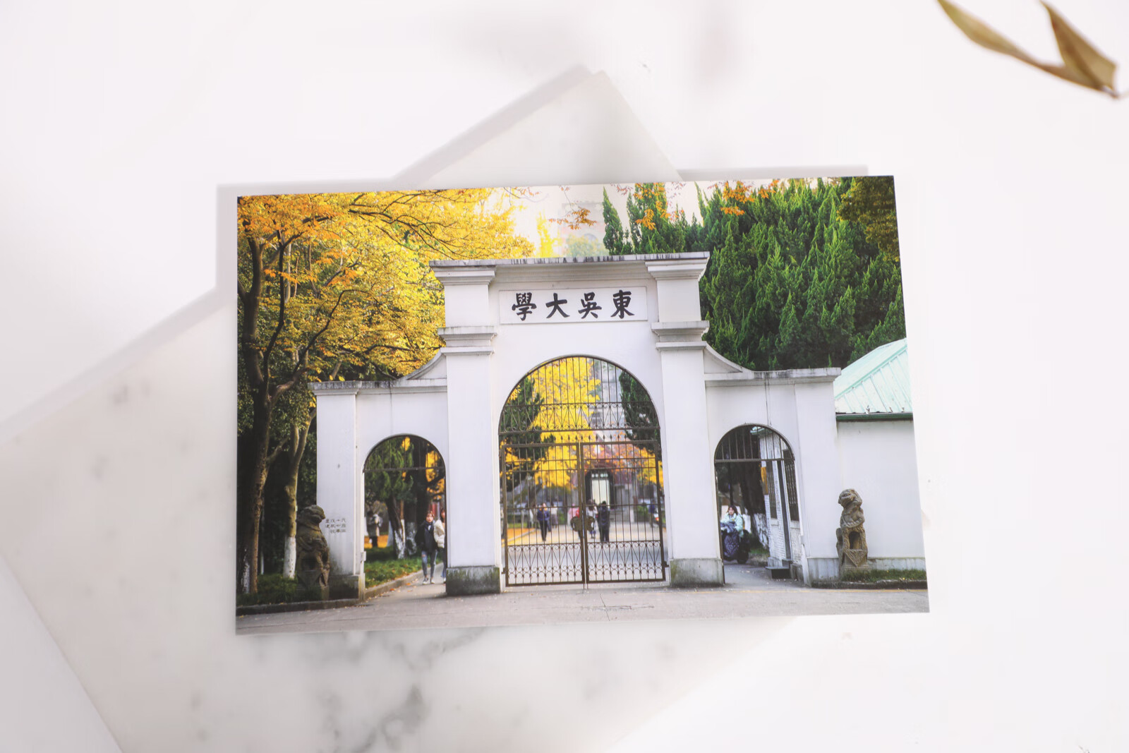 子木雅居(zimuyaju) 苏州大学明信片 苏大明信片 苏大海报名校明信片