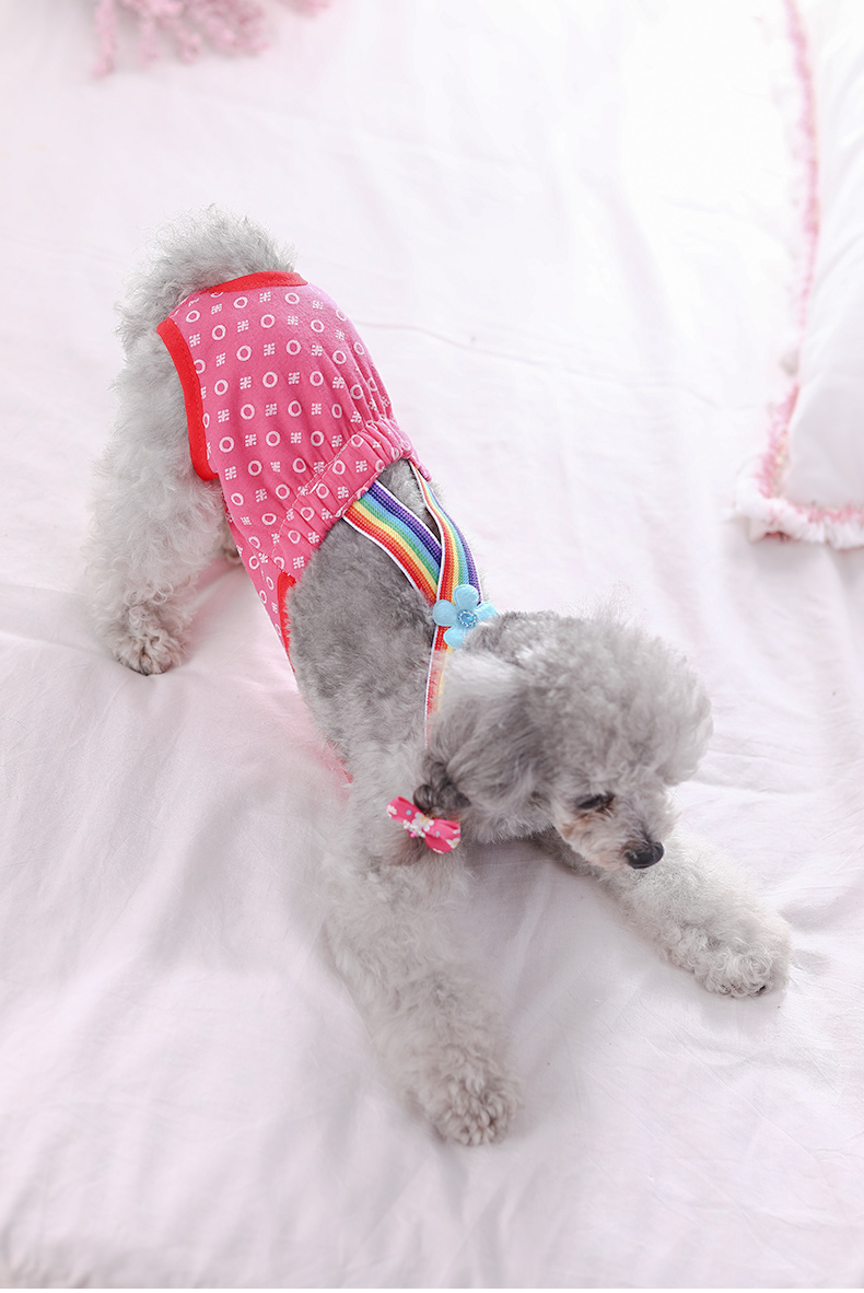 狗狗 内裤 宠物 背带 生理裤 小狗 月经裤 母狗 内裤 泰迪 裤衩 卫生