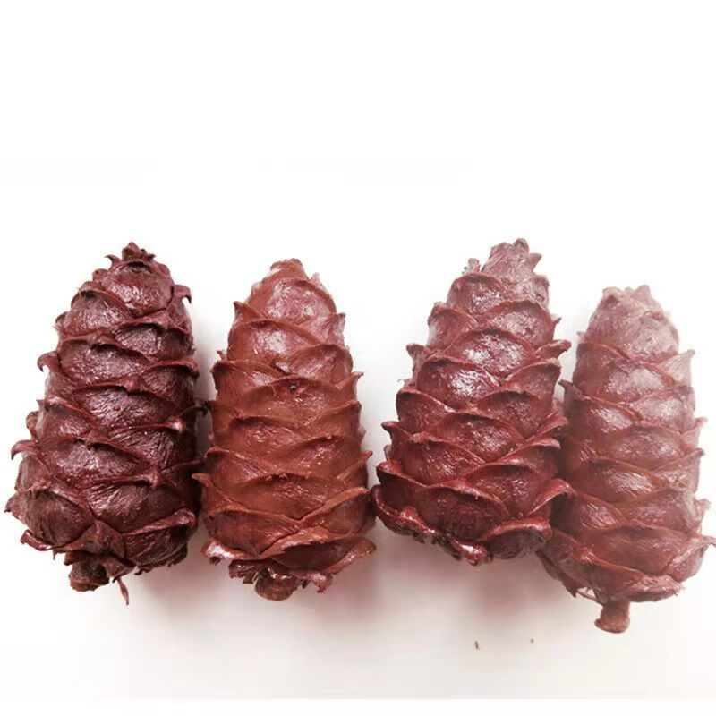 松树塔 盐水煮松塔大岭特色美食小朋友爱咸味薄皮松子 1000克【图片