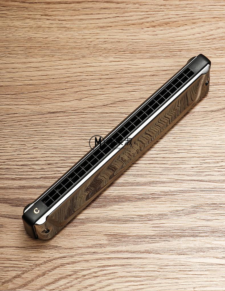 口琴初学者tombo国光音簧复音口琴c调初学学生入门演奏级演奏级24孔