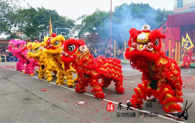 60高端品质舞狮道具全套南狮醒狮舞龙舞狮服装双人羊毛狮子瑞狮鸣朝