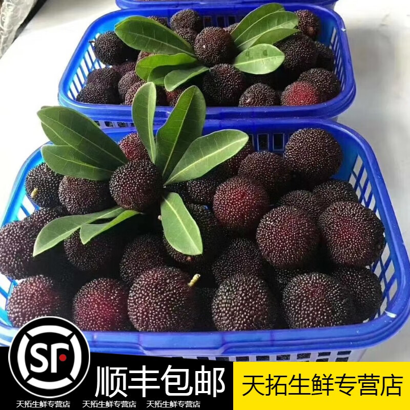 正宗青田杨梅4a东魁大杨梅浙江丽水特产孕妇水果新鲜 4a级2500g【图片