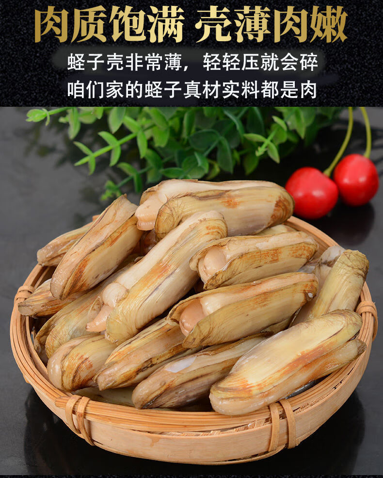 蛏子新鲜鲜活 海蛏子特大号无污染大蛏子竹节蛏海鲜 鲜活蛏子海水发货